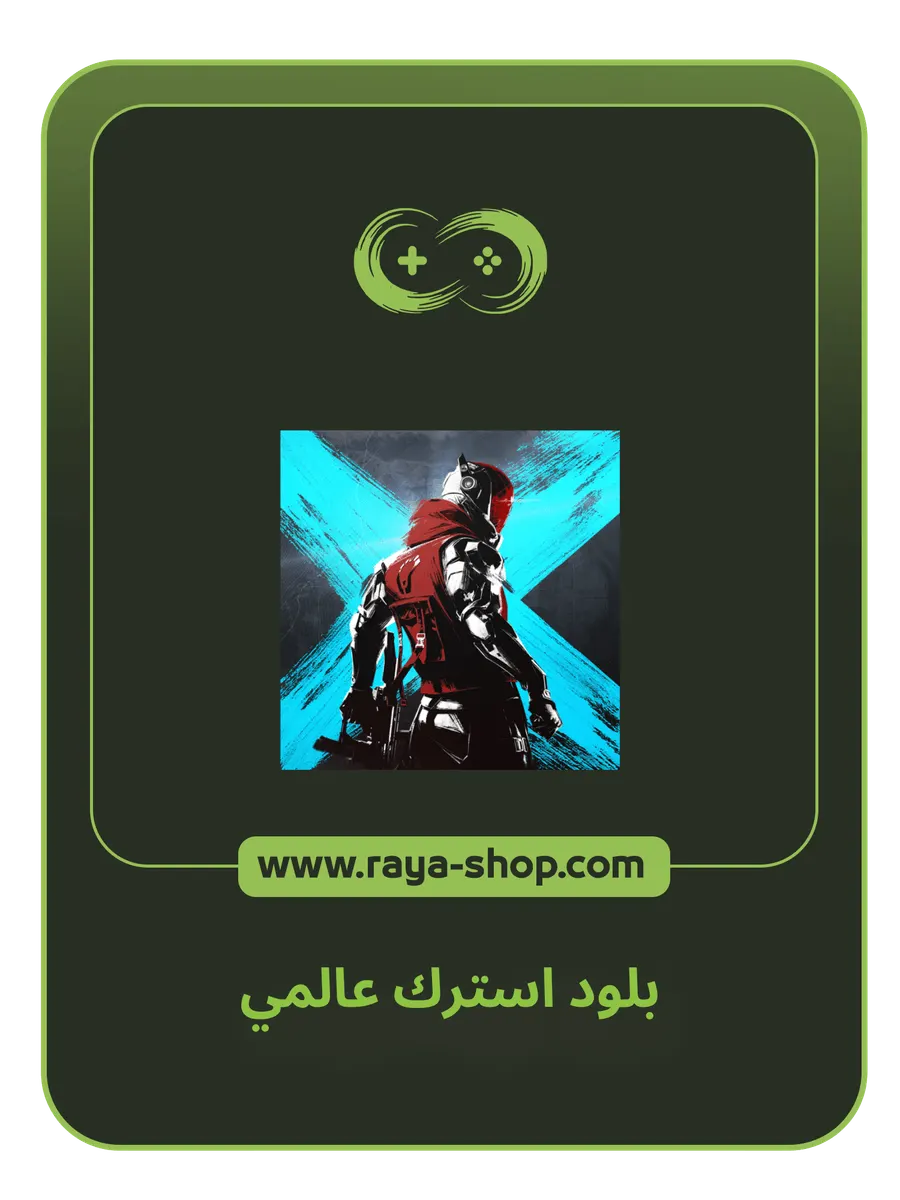 صورة المنتج