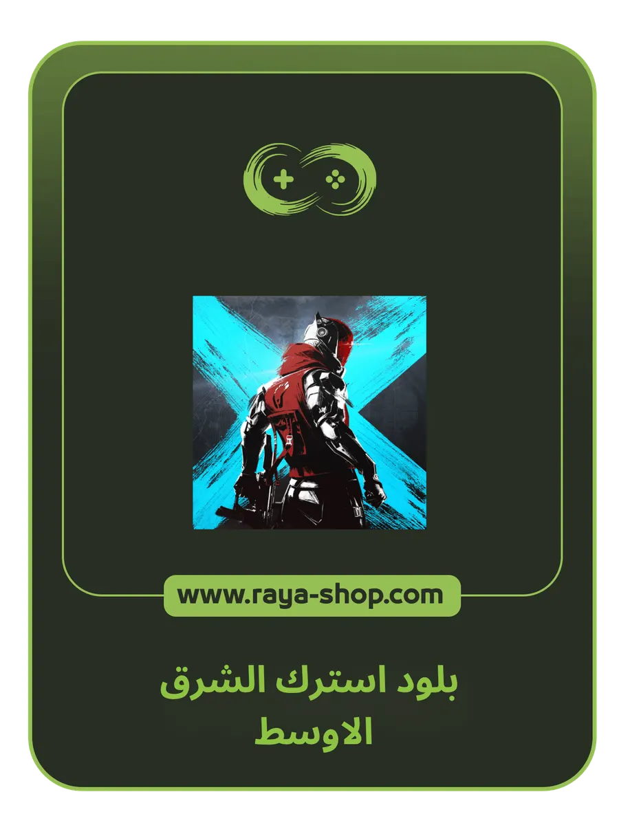 صورة المنتج